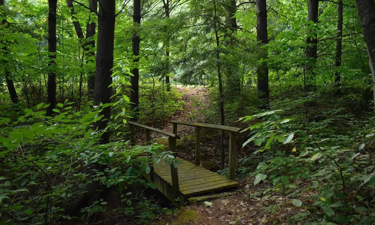 Green Cabin Hocking Hills 08